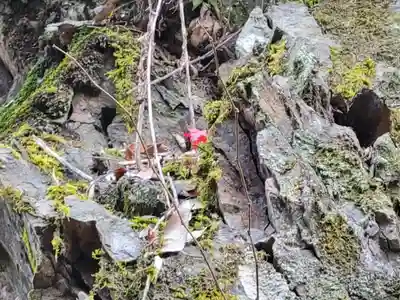 興聖寺(興聖寶林禅寺)(京都府)