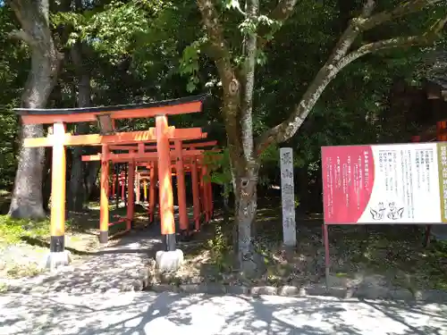 橿原神宮の鳥居