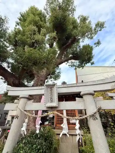 生野八坂神社(大阪府)