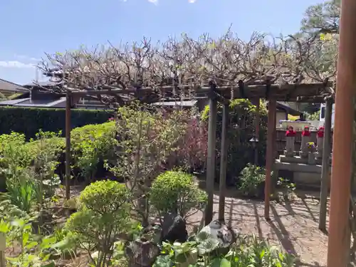 西光寺(神奈川県)