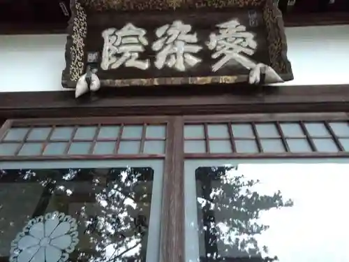 安楽寺の本殿・本堂