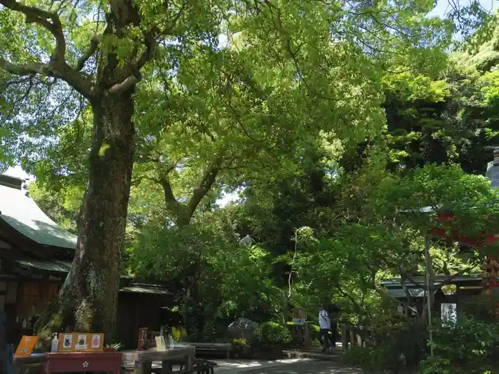 荏柄天神社のその他建物