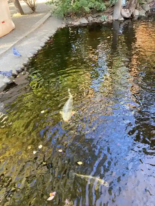 平塚八幡宮(神奈川県)