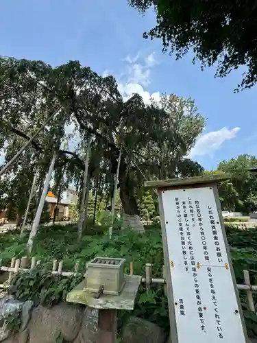 清瀧院(千葉県)