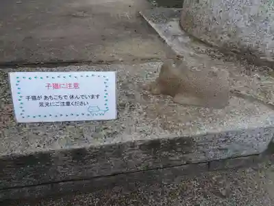 玉敷神社のその他建物