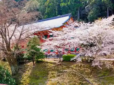 青岸渡寺(和歌山県)