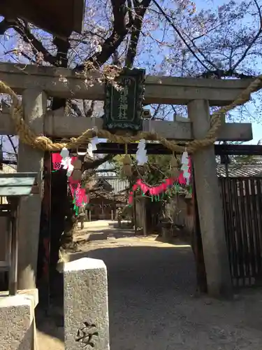 式内楯原神社の鳥居