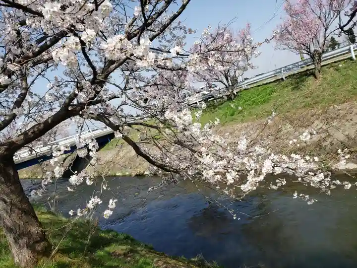越中一宮 髙瀬神社の自然