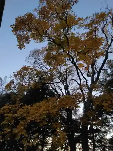 神鳥前川神社(神奈川県)