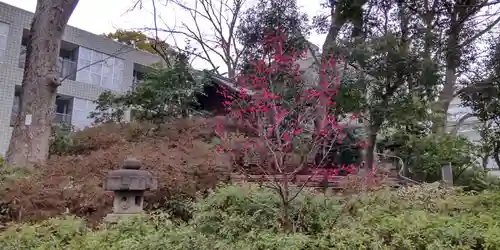 猿楽神社(東京都)