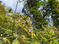 龍穏寺の自然