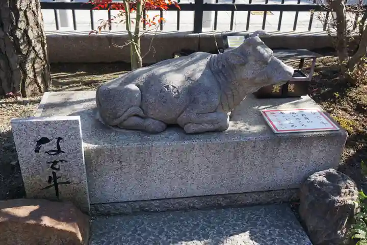 六波羅蜜寺の狛犬