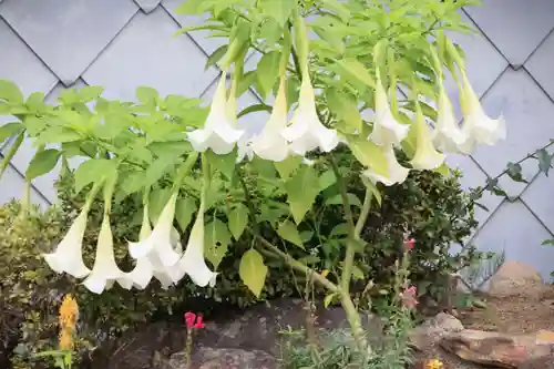 大鏑神社の庭園