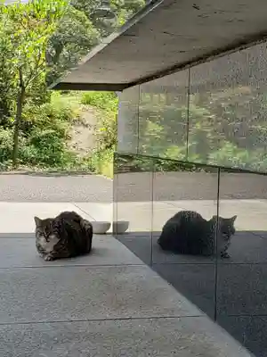 白金氷川神社(東京都)