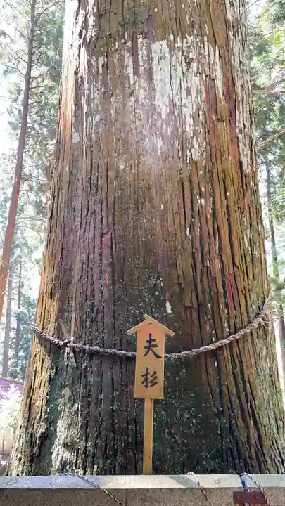 恵那神社(岐阜県)