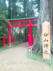 白山神社の鳥居