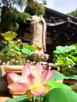 宗延寺(東京都)