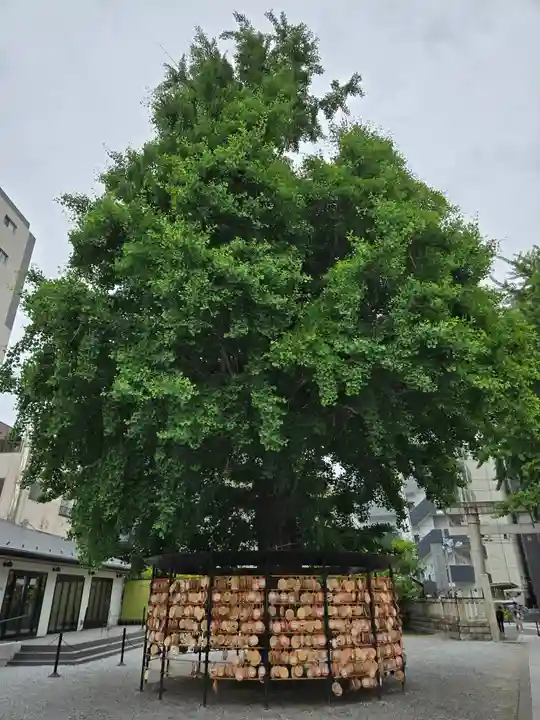 今戸神社(東京都)