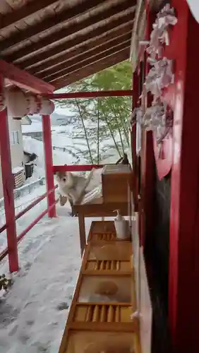 鹿角八坂神社の動物