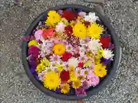 埼玉厄除け開運大師・龍泉寺(切り絵御朱印発祥の寺)の御朱印