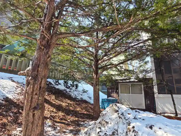 鳥取神社(北海道)