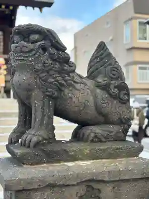 札幌諏訪神社の狛犬