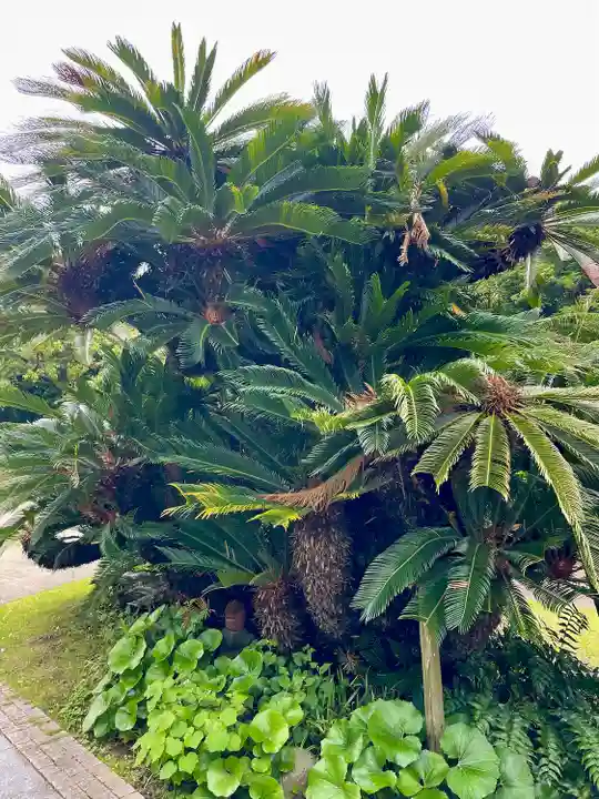 浄泉寺(神奈川県)