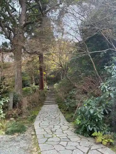 瑞泉寺の{uncategorized: "未分類", other: "その他", undefined: "問題あり", building: "その他建物", grave: "お墓", sacred_gate: "鳥居", guardian: "狛犬", statue: "像", buddha: "仏像", history: "歴史", nature: "自然", garden: "庭園", animal: "動物", pagoda: "塔", temizu: "手水舎", mountain_gate: "山門・神門", sanctuary: "本殿・本堂", subordinate: "末社・摂社", art: "芸術", scenery: "景色", jizo: "地蔵", ema: "絵馬", goshuin: "御朱印", omikuji: "おみくじ", items: "授与品その他", amulet: "お守り", goshuincho: "御朱印帳", eats: "食事", festival: "お祭り", votive_dance: "神楽", shichigosan: "七五三参", wedding: "結婚式", experience: "体験その他", initially: "初詣", around: "周辺", anti_infection: "感染症対策"}