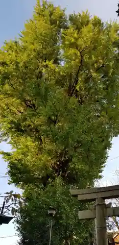 葛西神社(東京都)