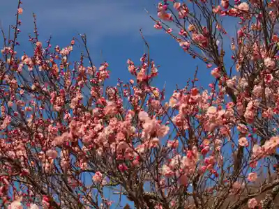 筑波山神社(茨城県)