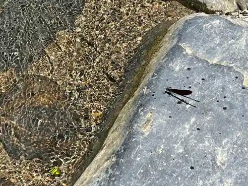 多度大社(三重県)