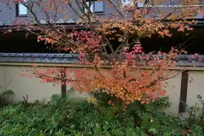 梨木神社(京都府)