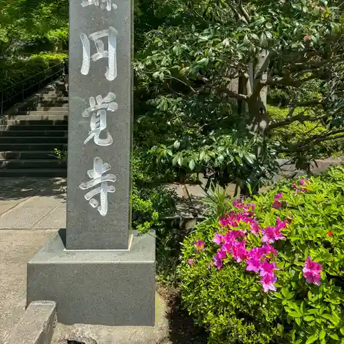円覚寺(神奈川県)