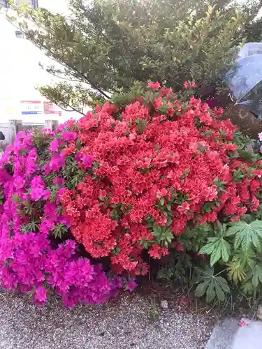 三輪神社の自然