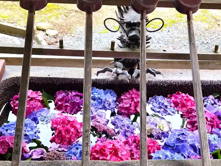 伊尼神社の手水舎