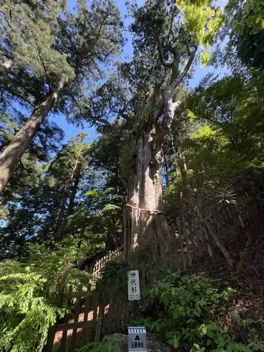 玉置神社の{uncategorized: "未分類", other: "その他", undefined: "問題あり", building: "その他建物", grave: "お墓", sacred_gate: "鳥居", guardian: "狛犬", statue: "像", buddha: "仏像", history: "歴史", nature: "自然", garden: "庭園", animal: "動物", pagoda: "塔", temizu: "手水舎", mountain_gate: "山門・神門", sanctuary: "本殿・本堂", subordinate: "末社・摂社", art: "芸術", scenery: "景色", jizo: "地蔵", ema: "絵馬", goshuin: "御朱印", omikuji: "おみくじ", items: "授与品その他", amulet: "お守り", goshuincho: "御朱印帳", eats: "食事", festival: "お祭り", votive_dance: "神楽", shichigosan: "七五三参", wedding: "結婚式", experience: "体験その他", initially: "初詣", around: "周辺", anti_infection: "感染症対策"}