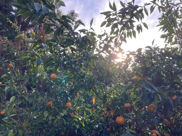 愛宕神社(京都府)
