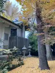 稗田神社の本殿