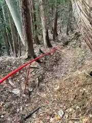 御嶽神社の自然