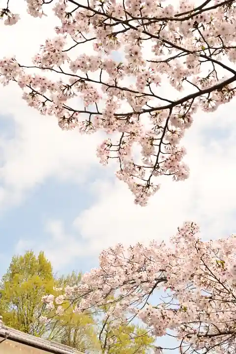海禅寺(愛媛県)