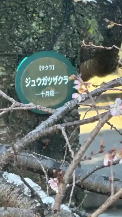 清水観音堂(東京都)