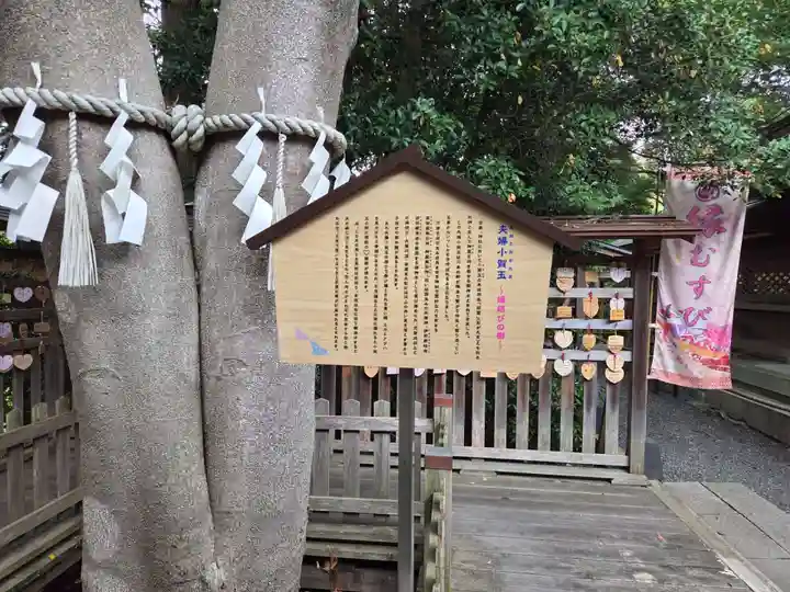 琴崎八幡宮(山口県)