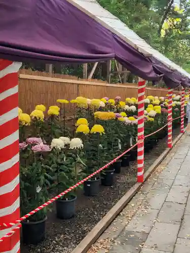 彌彦神社の建物その他