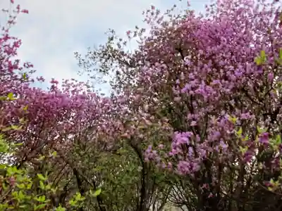 廣田神社(兵庫県)