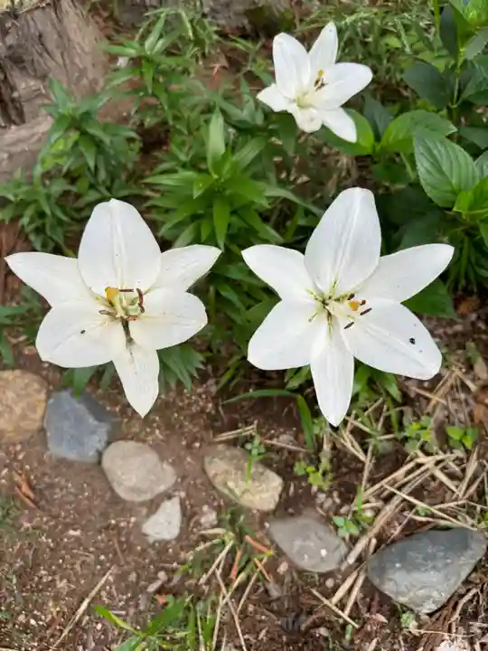 赤城神社(群馬県)