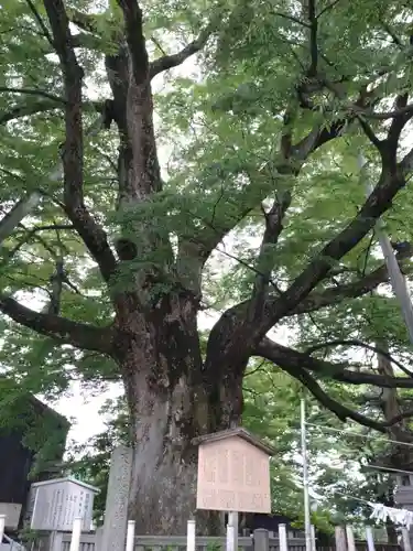 神明宮(石川県)