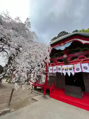 小川諏訪神社の本殿・本堂