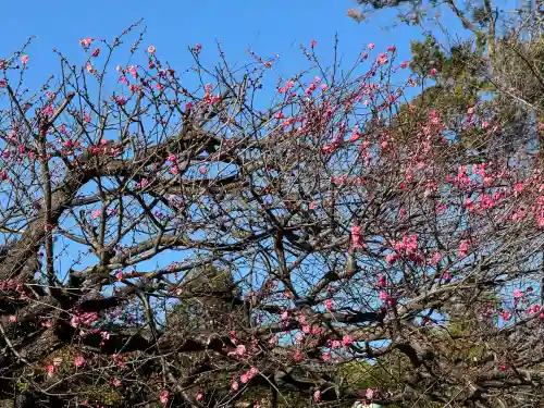 上野東照宮(東京都)