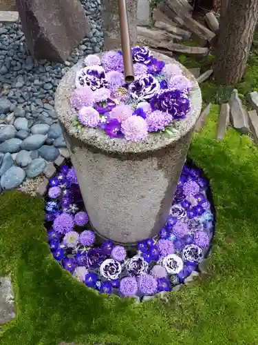 行田八幡神社の庭園