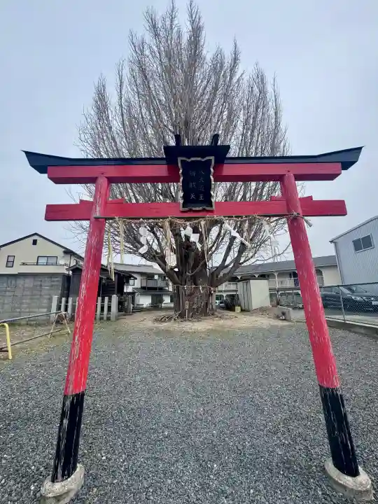 八大龍王辨財天の{uncategorized: "未分類", other: "その他", undefined: "問題あり", building: "その他建物", grave: "お墓", sacred_gate: "鳥居", guardian: "狛犬", statue: "像", buddha: "仏像", history: "歴史", nature: "自然", garden: "庭園", animal: "動物", pagoda: "塔", temizu: "手水舎", mountain_gate: "山門・神門", sanctuary: "本殿・本堂", subordinate: "末社・摂社", art: "芸術", scenery: "景色", jizo: "地蔵", ema: "絵馬", goshuin: "御朱印", omikuji: "おみくじ", items: "授与品その他", amulet: "お守り", goshuincho: "御朱印帳", eats: "食事", festival: "お祭り", votive_dance: "神楽", shichigosan: "七五三参", wedding: "結婚式", experience: "体験その他", initially: "初詣", around: "周辺", anti_infection: "感染症対策"}